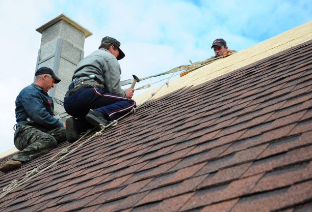 Best New Roof Installation  in Timberne, LA
